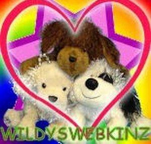 WILDYSWEBKINZ