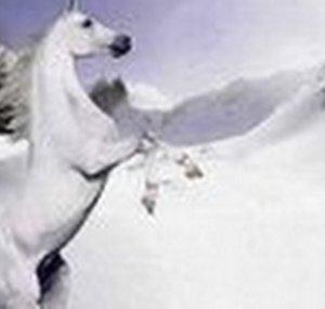 winterstorm2
