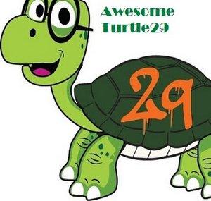 AwesomeTurtle29