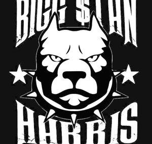Bigg Stan's BSH TV
