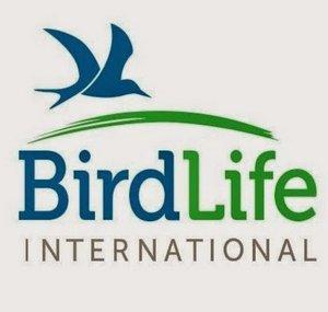 BirdLife International