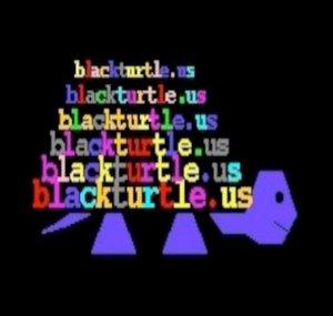 blackturtleshow