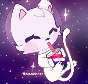 Blank Cat