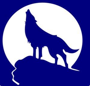 bluewolfMike Gaming