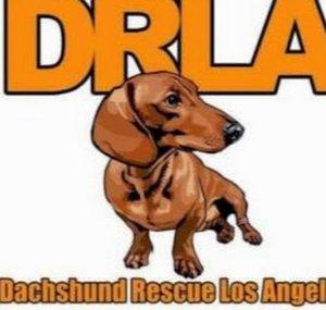 Dachshund Rescue Of Los Angeles