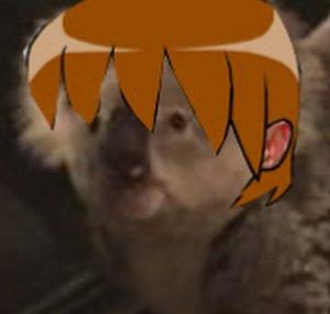 FinnOtaku
