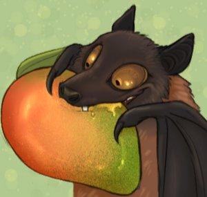 Fruit Bat