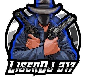 LigerDJ 217