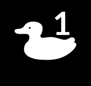 Sonduck1