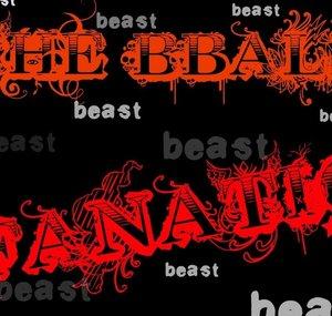 xXTheBballFanaticXx