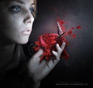 BloodlySnowLand1