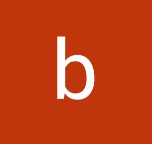 brijseeker