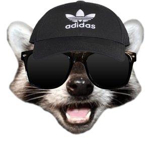 DadRaccoon