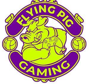 Flying Pig Gaming