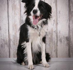 Liesl ღ from the heart.