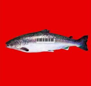 PianoSalmon