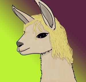 Ramen Llama