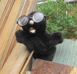 Ronnie the Mole