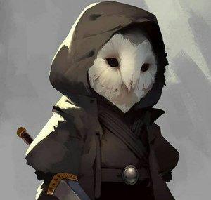 Sincarii The Bard