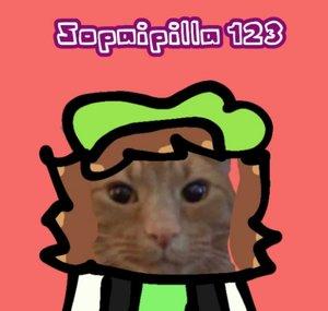 Sopaipilla 123 (CUENTA ABANDONADA)