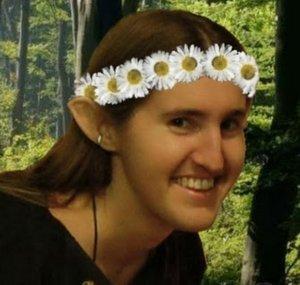 The Woodland Elf