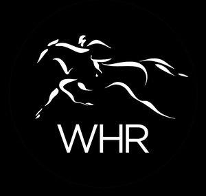 World Horse Racing