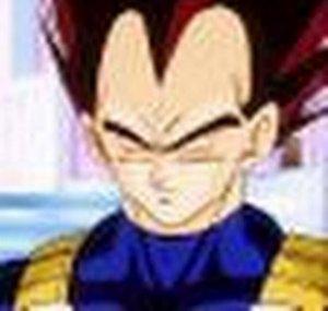 113vegeta