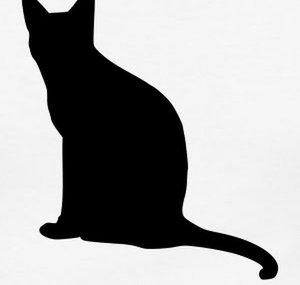 Katzen Erfahrungen