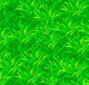 LawnShorts