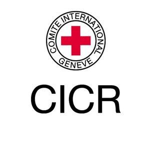 Le Comité international de la Croix-Rouge