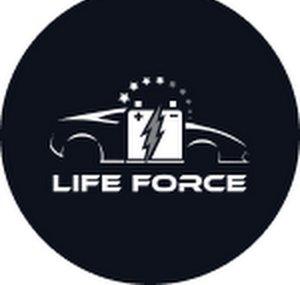 Life Force Battery