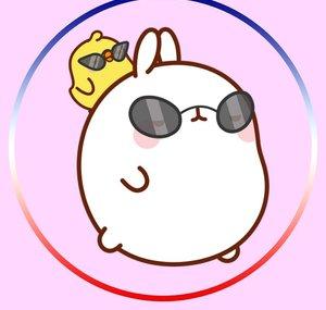 Molang France