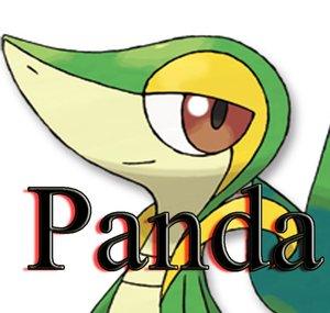 Panda Knightwalker