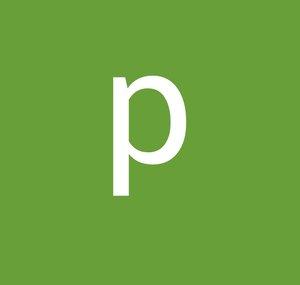 patriotsrok12
