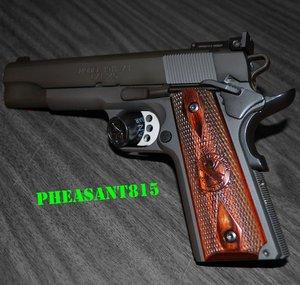 Pheasant815