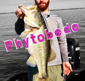Phytobedo Fishing