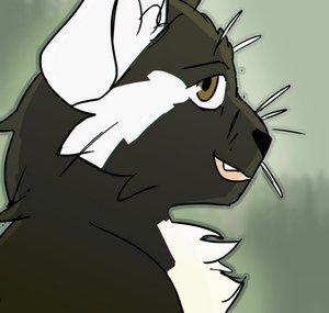 Ravenheart