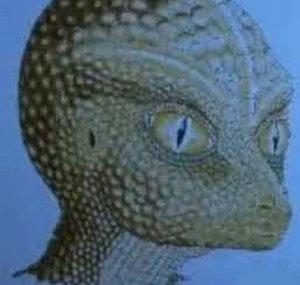 ReptilianOverlord517