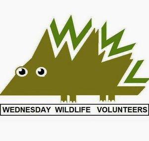 Wednesday Wildlife Volunteers - Bolton