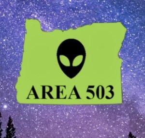 Area 503