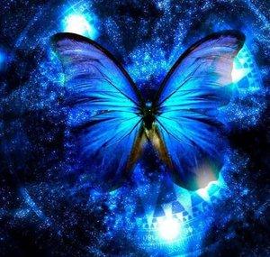Butterfly Plays