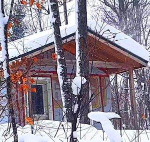 Cabin Life