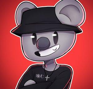 Choo the Koala