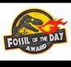 FossiloftheDayTV