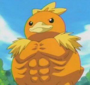 Fuffy's Fluff