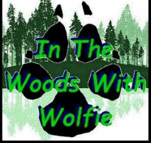 In The Woods With Wolfie
