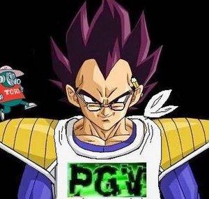 PGVchannel