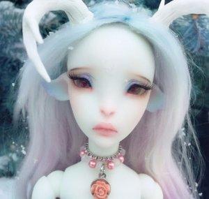 Sight HoundLady