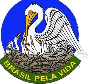 Voz do Brasil pela Vida