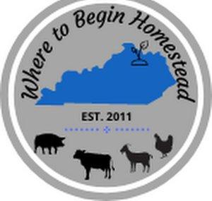 Where to Begin Homestead
